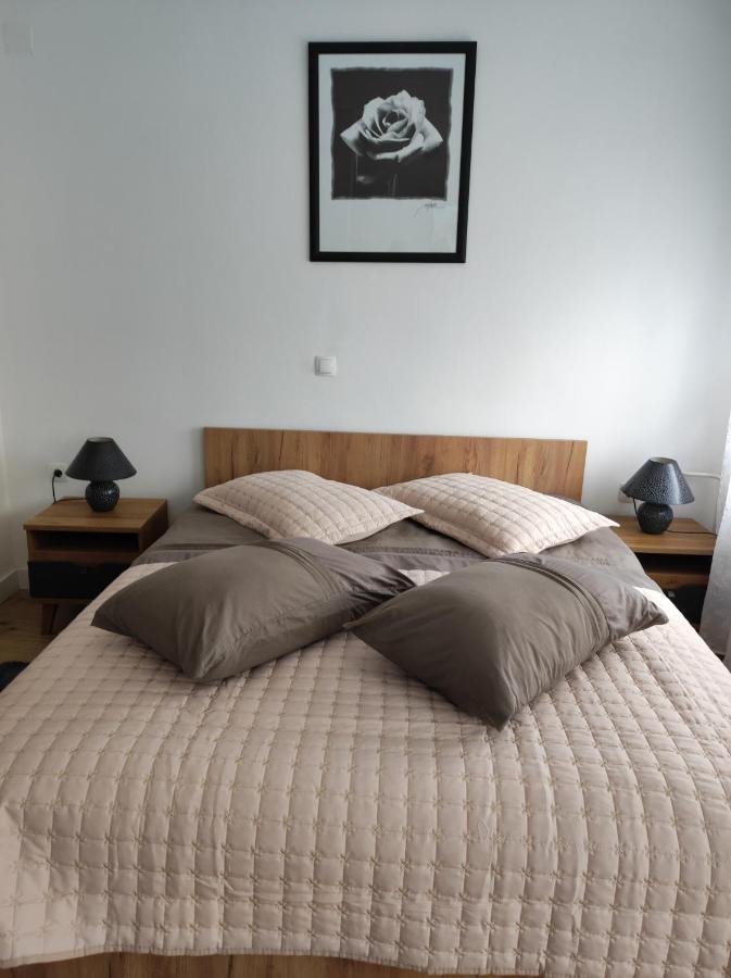 Апартаменты Studio Apartman Rose Плитвицкие озёра Экстерьер фото